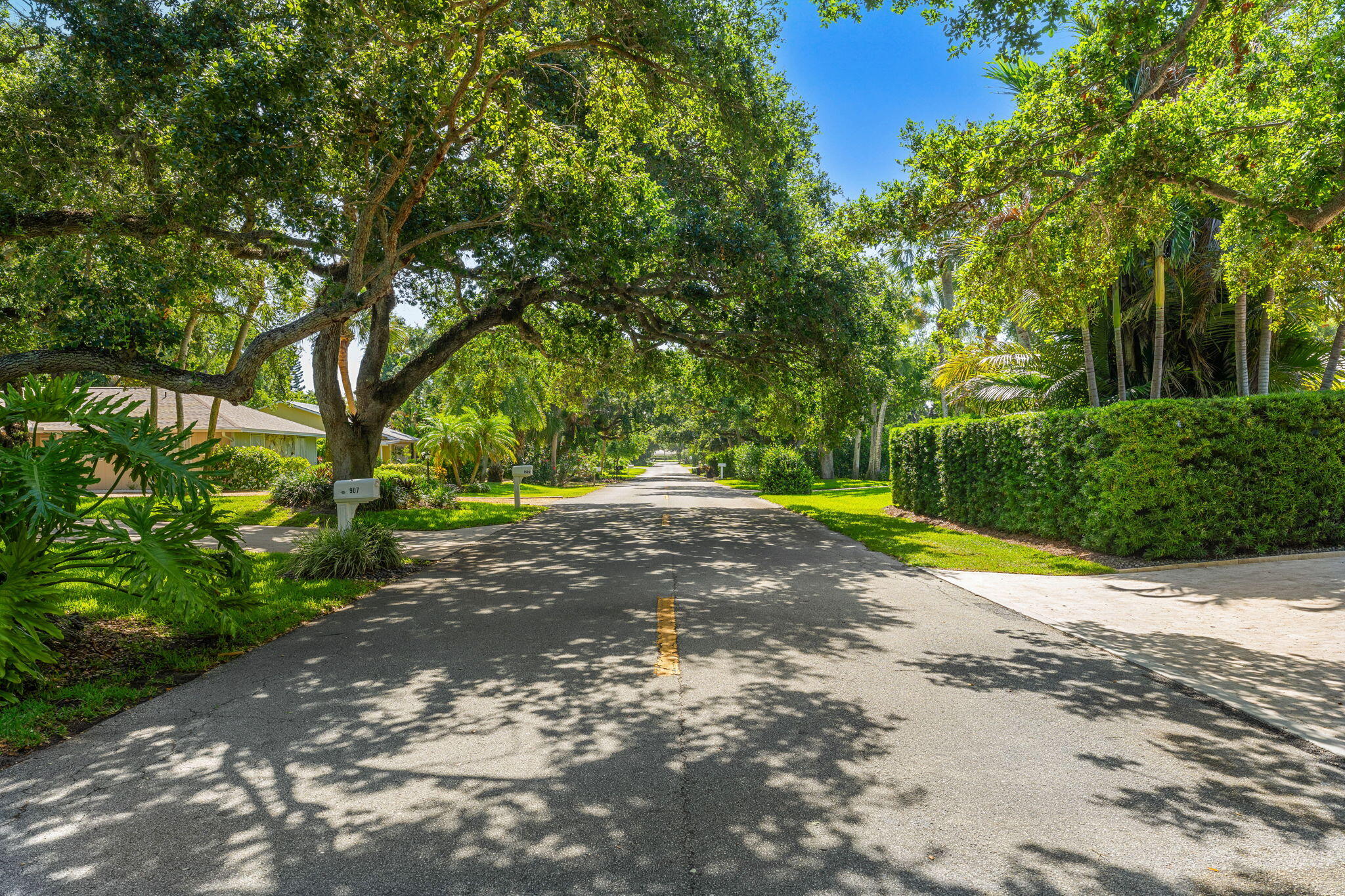 906 Jasmine Lane