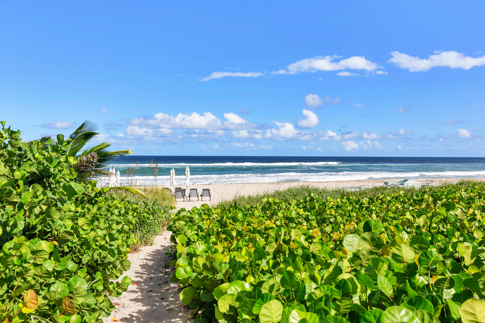 2784 S OCEAN Boulevard 301E