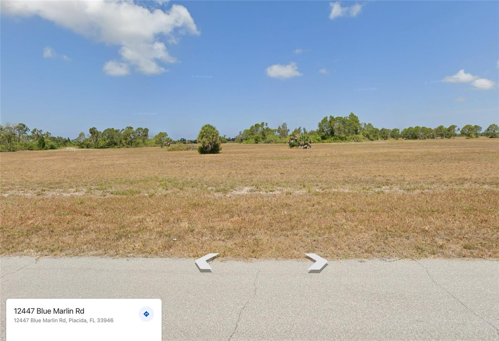 12447 BLUE MARLIN RD