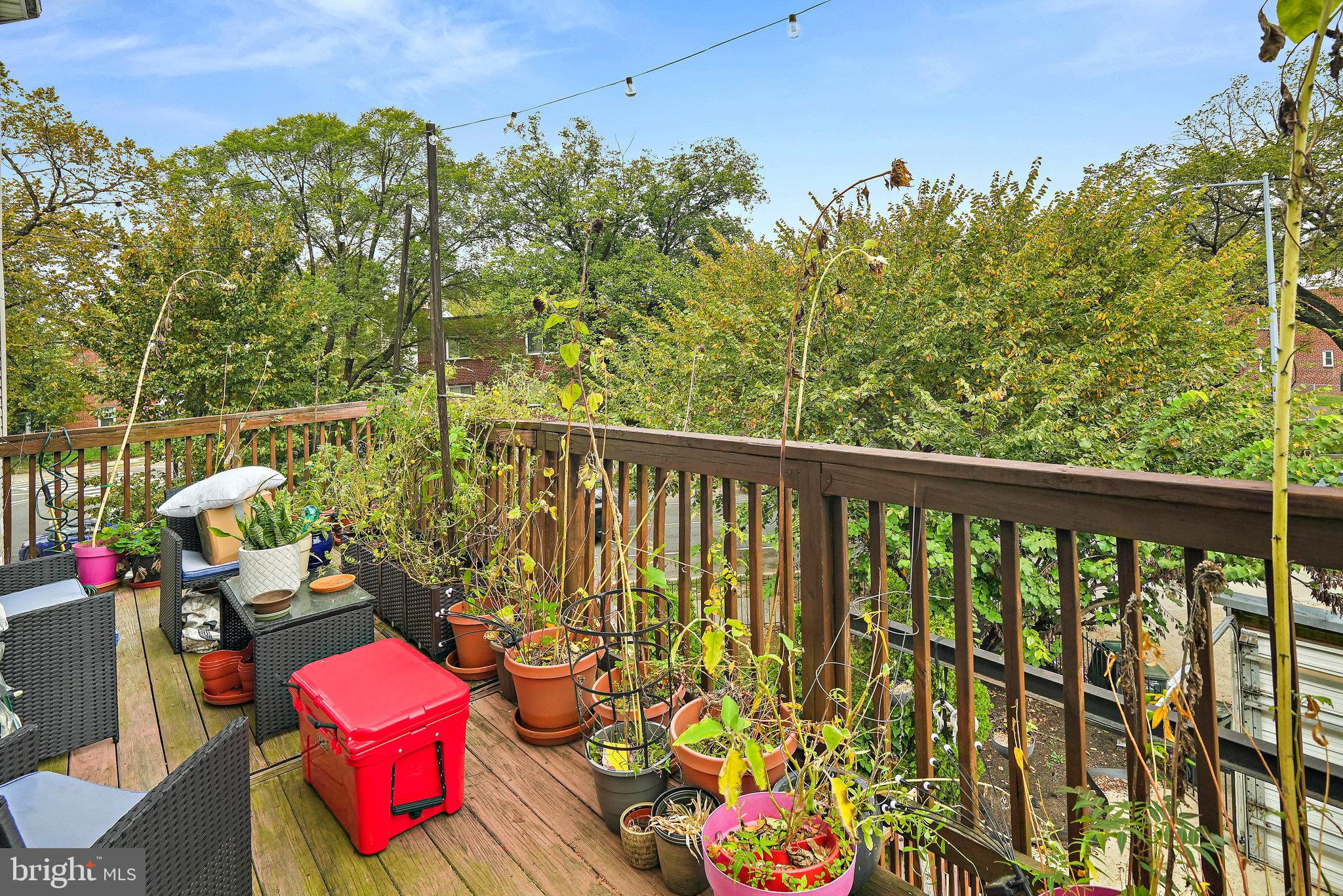 1704 E St NE #4