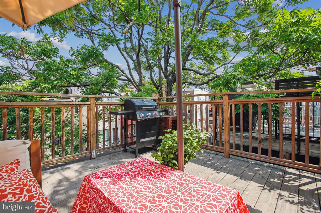 1725 WILLARD STREET NW 3