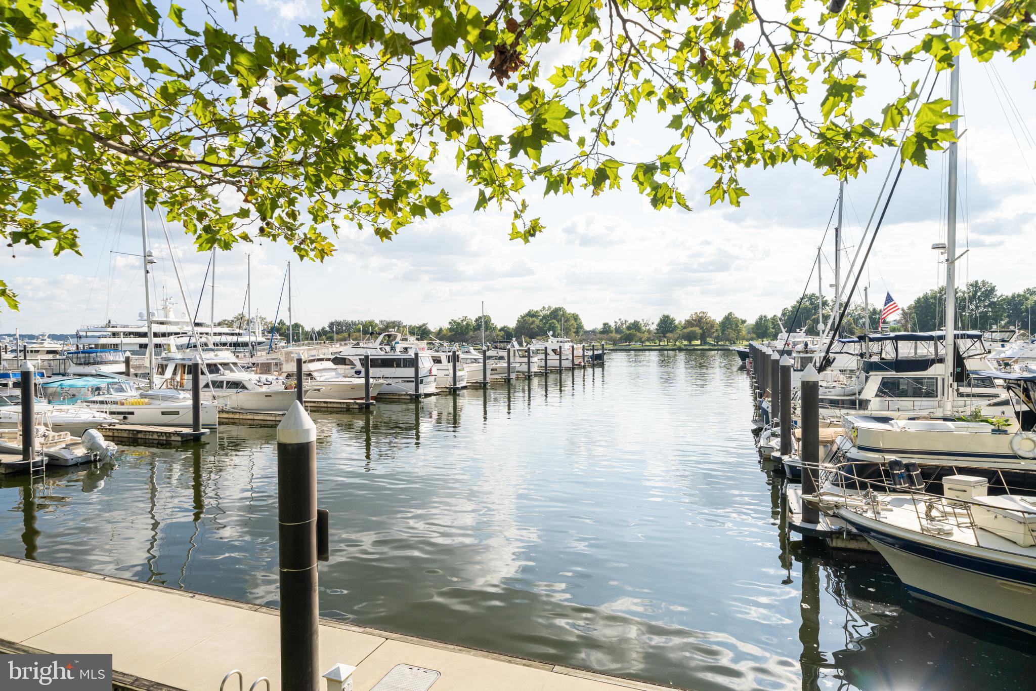 45 SUTTON SQUARE SW PH11