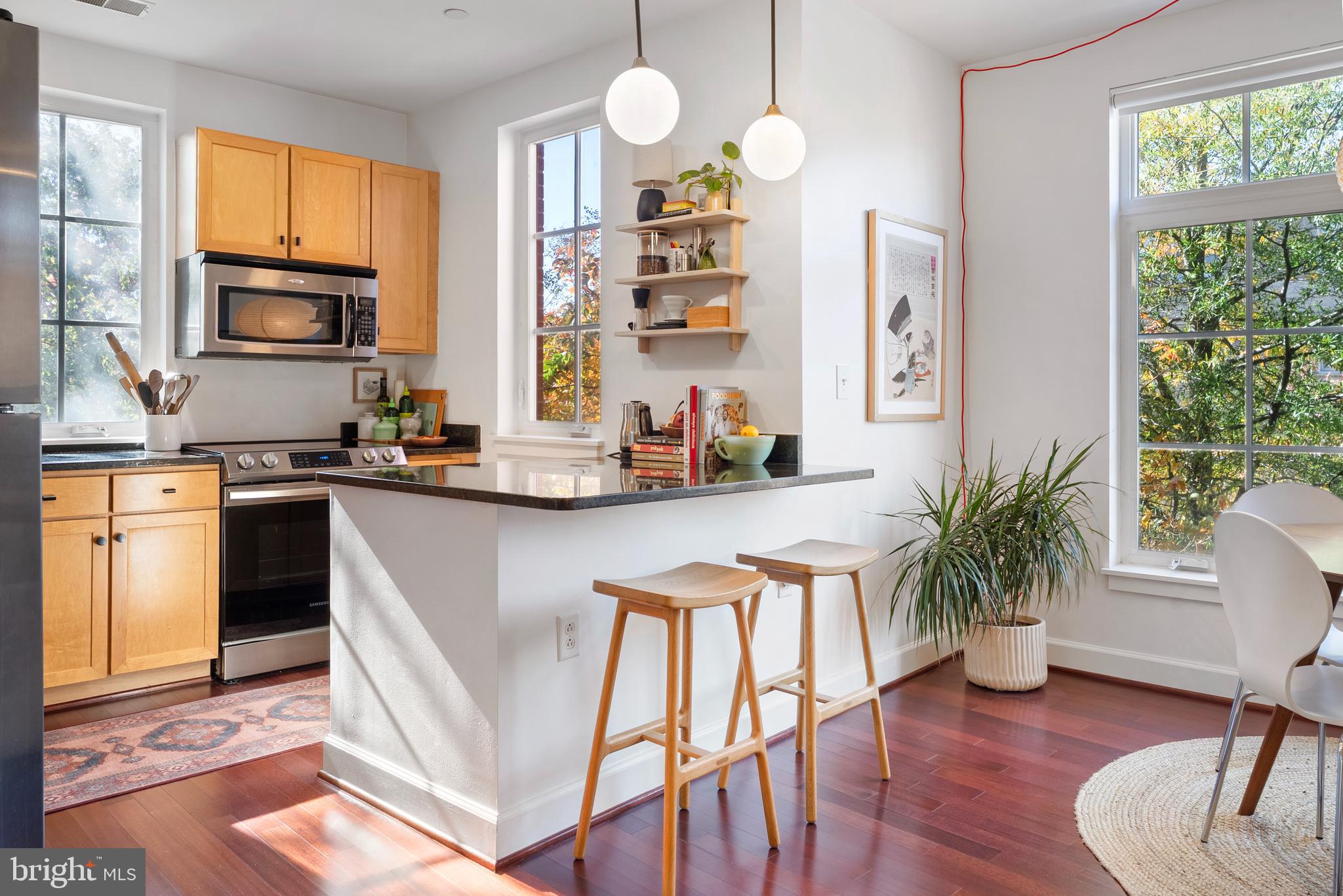 150 V STREET NW V204