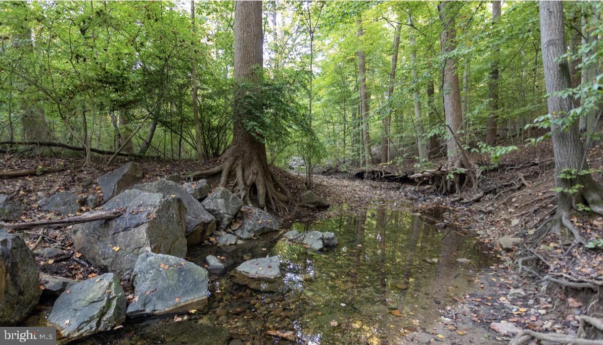 2325 42ND STREET NW 420