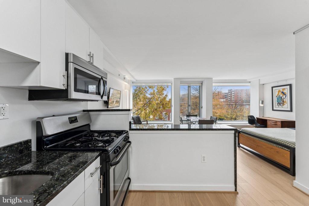 1101 3RD STREET SW Unit: 114