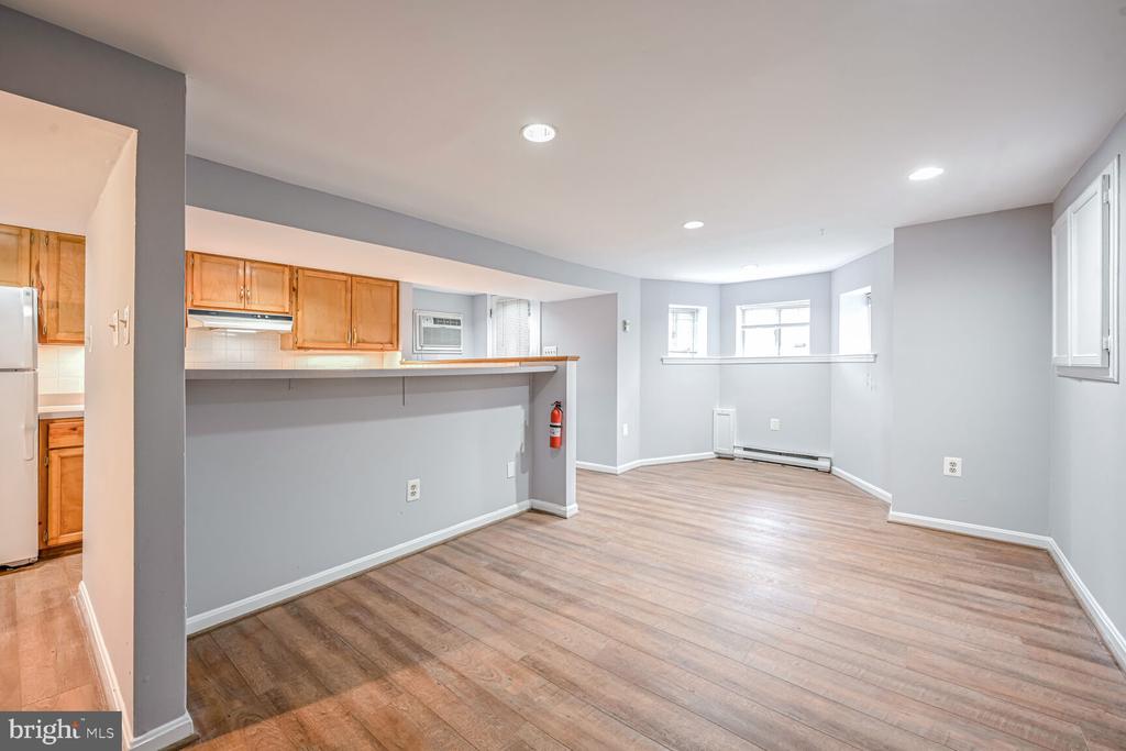 1336 RIGGS STREET NW Unit: BASEMENT UNIT