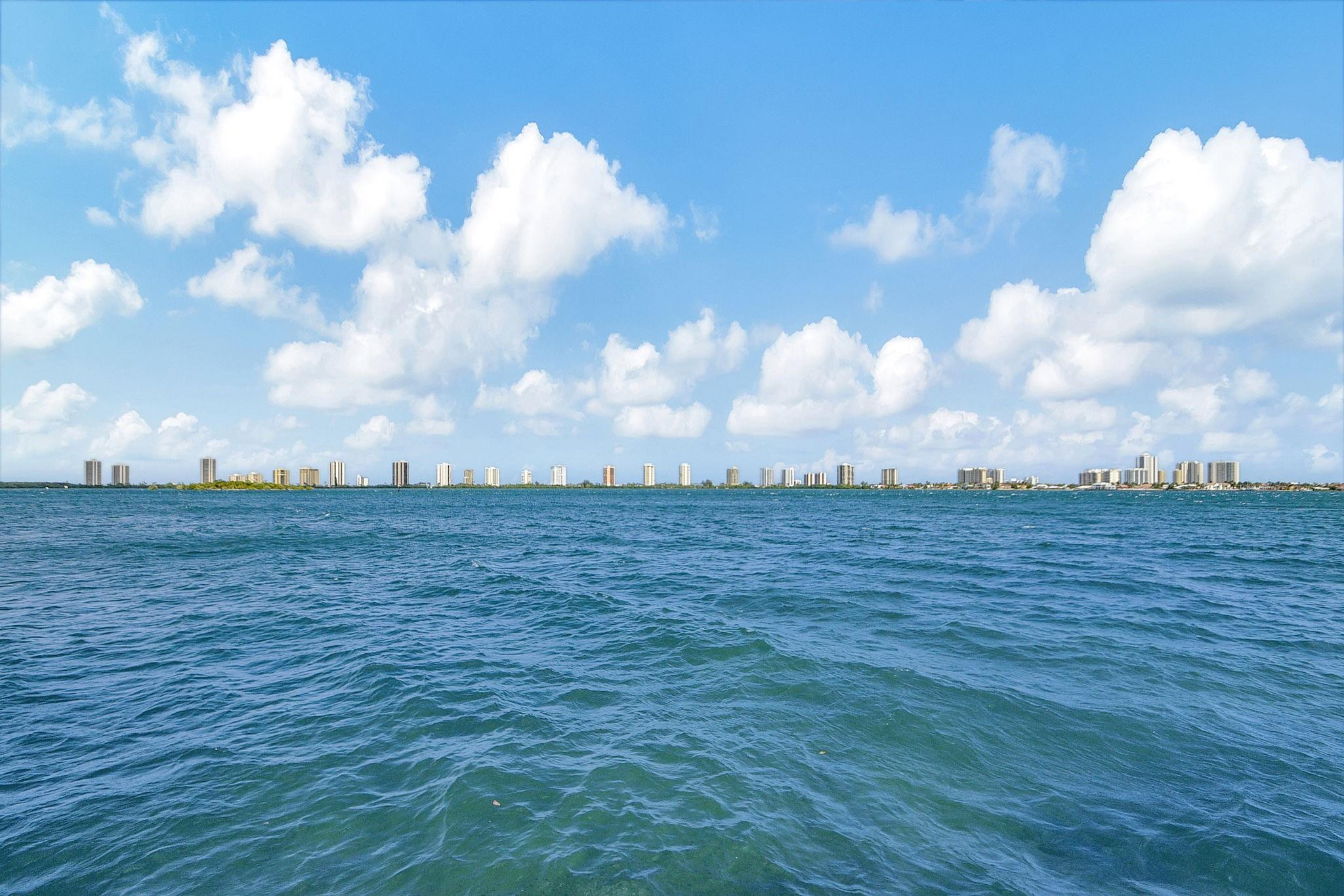 1155 Lake Shore Dr 205