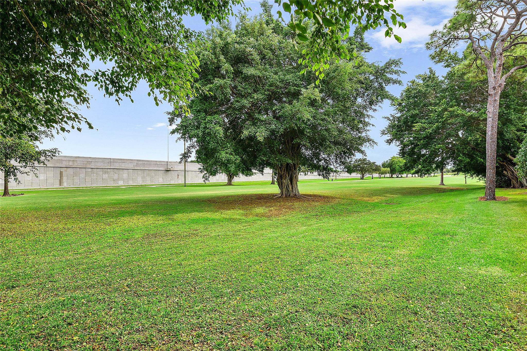 8055 Burlington Court