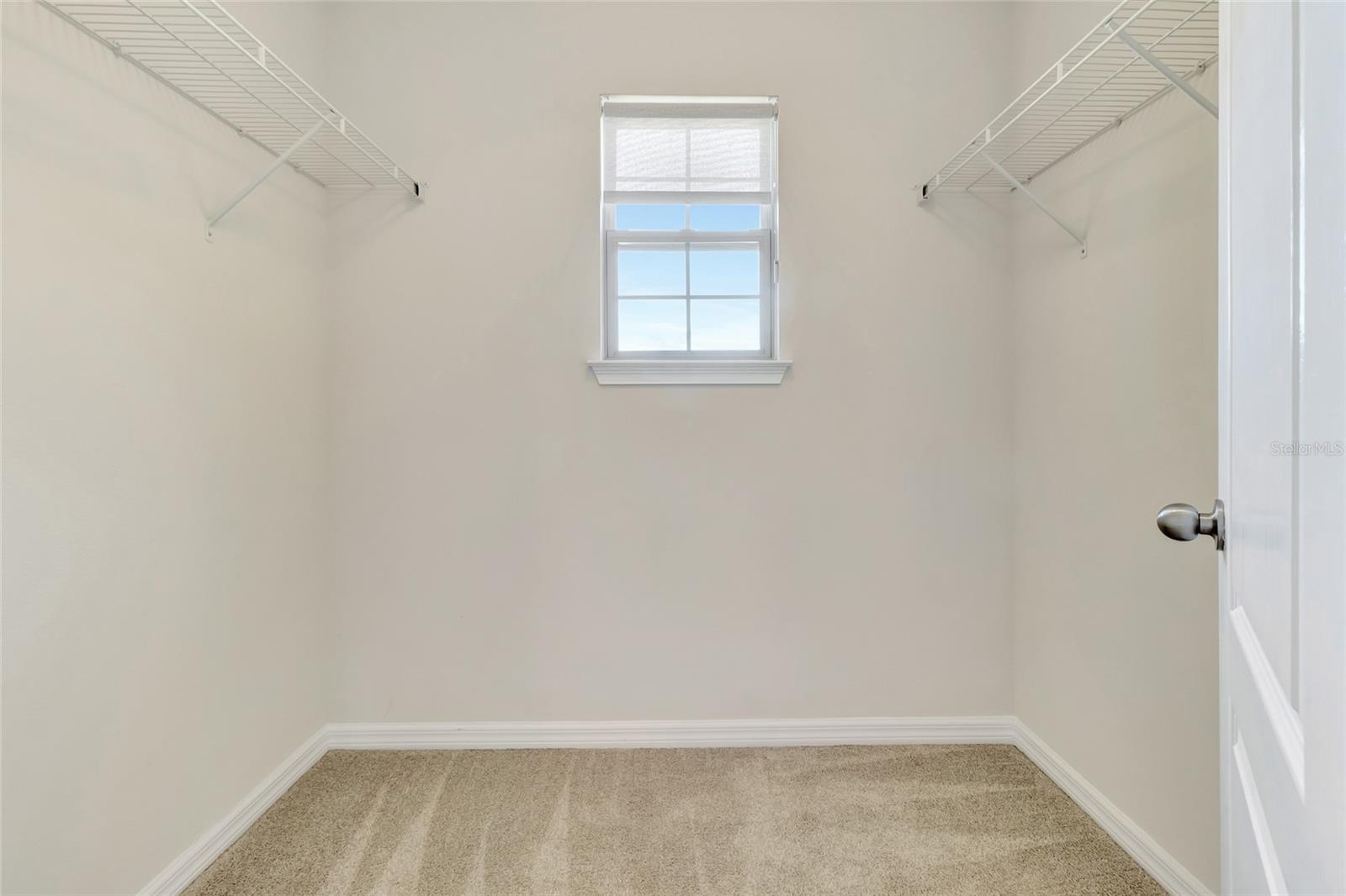 1077 FOUNTAIN COIN LOOP