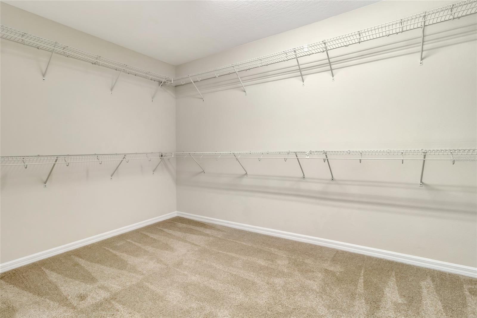 1077 FOUNTAIN COIN LOOP