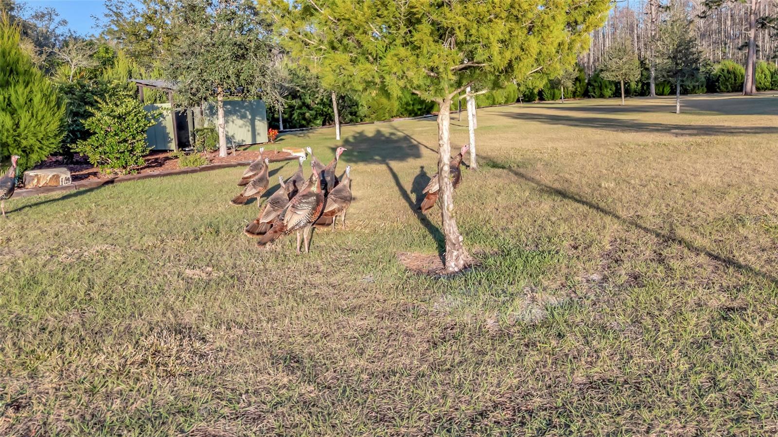 7330 CRABGRASS RD
