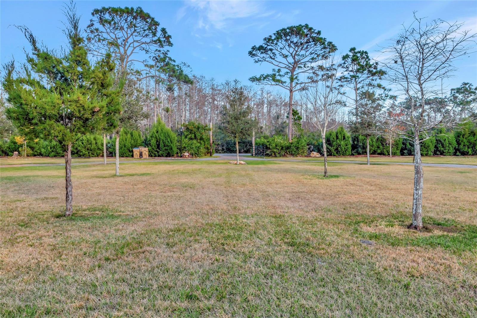 7330 CRABGRASS RD