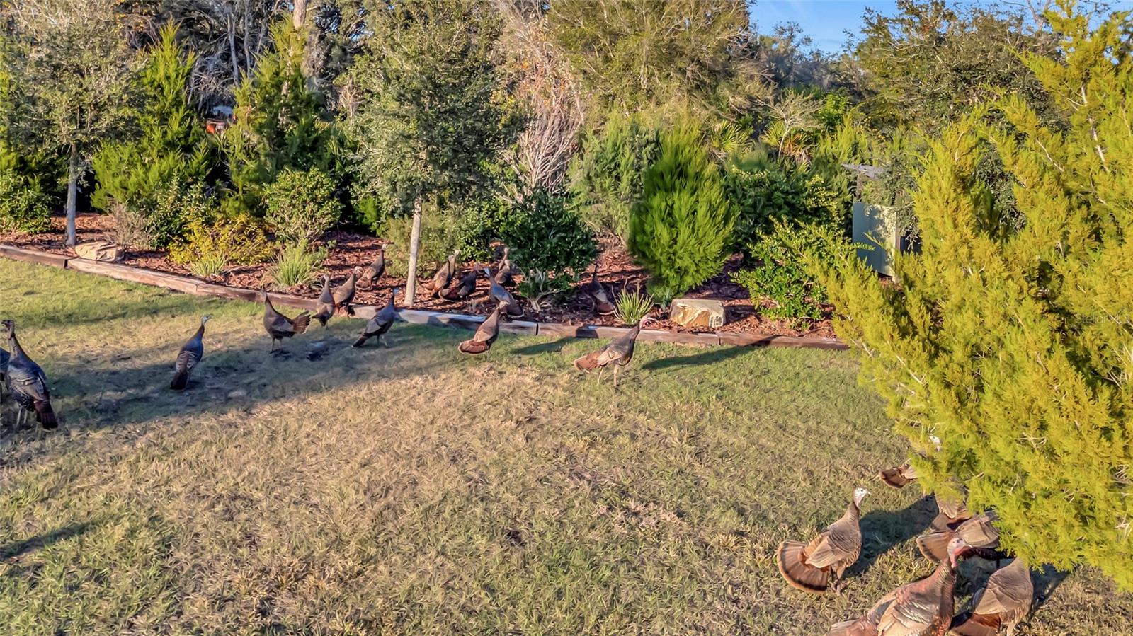 7330 CRABGRASS RD