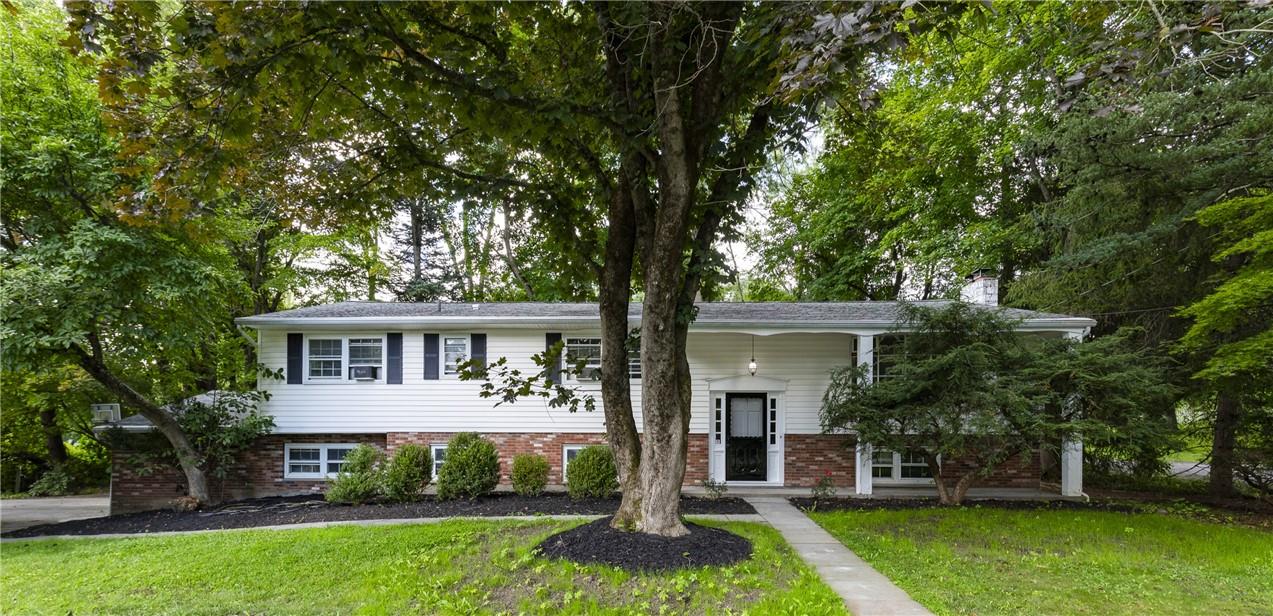 26 Miron Drive