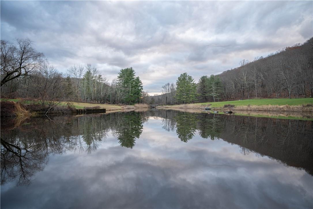 165 Duell Hollow Road