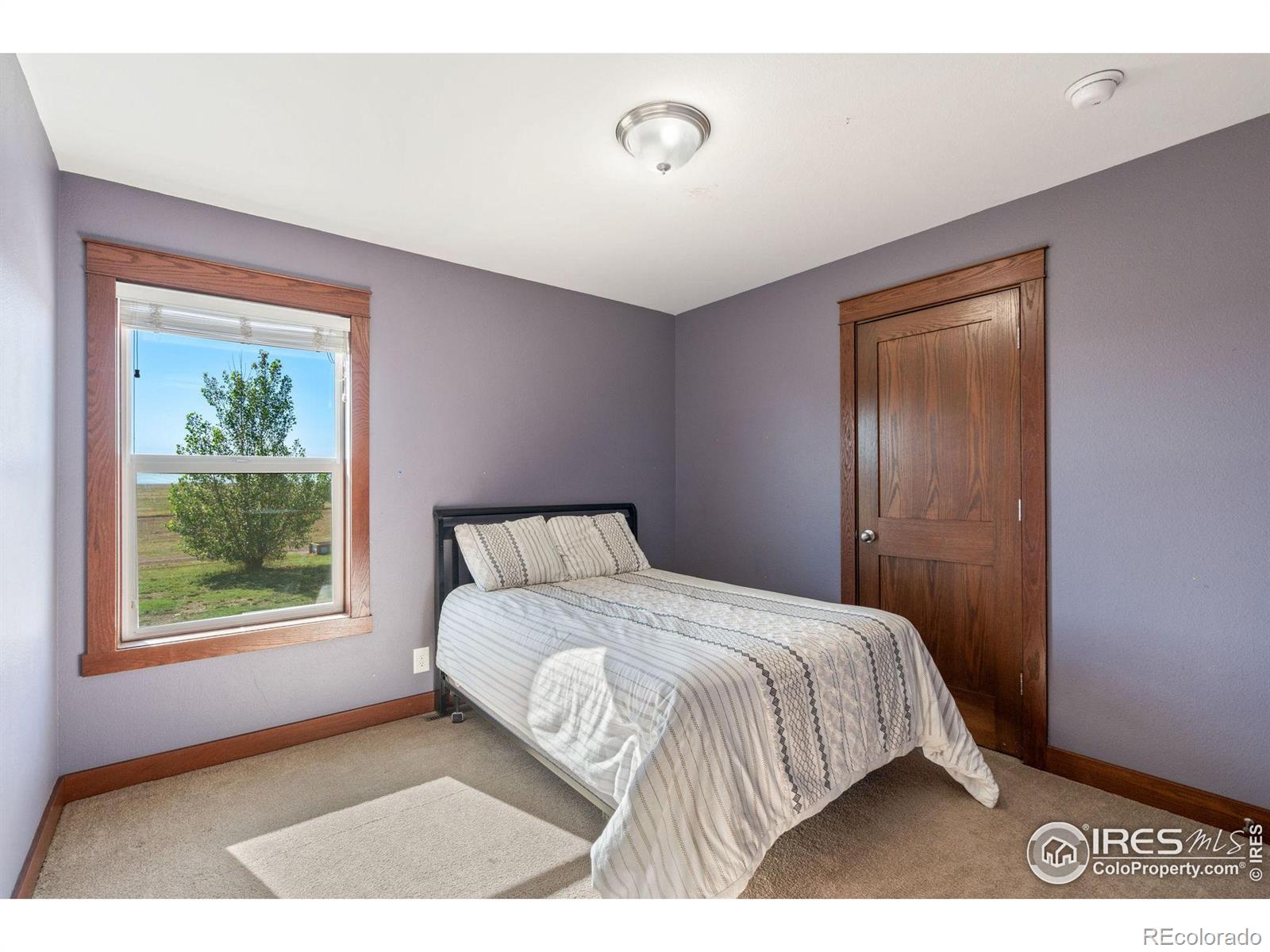 38198 County Road 65