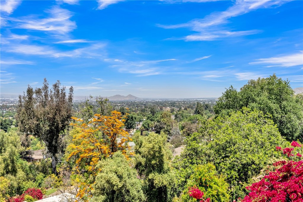 2445 Knob Hill Drive