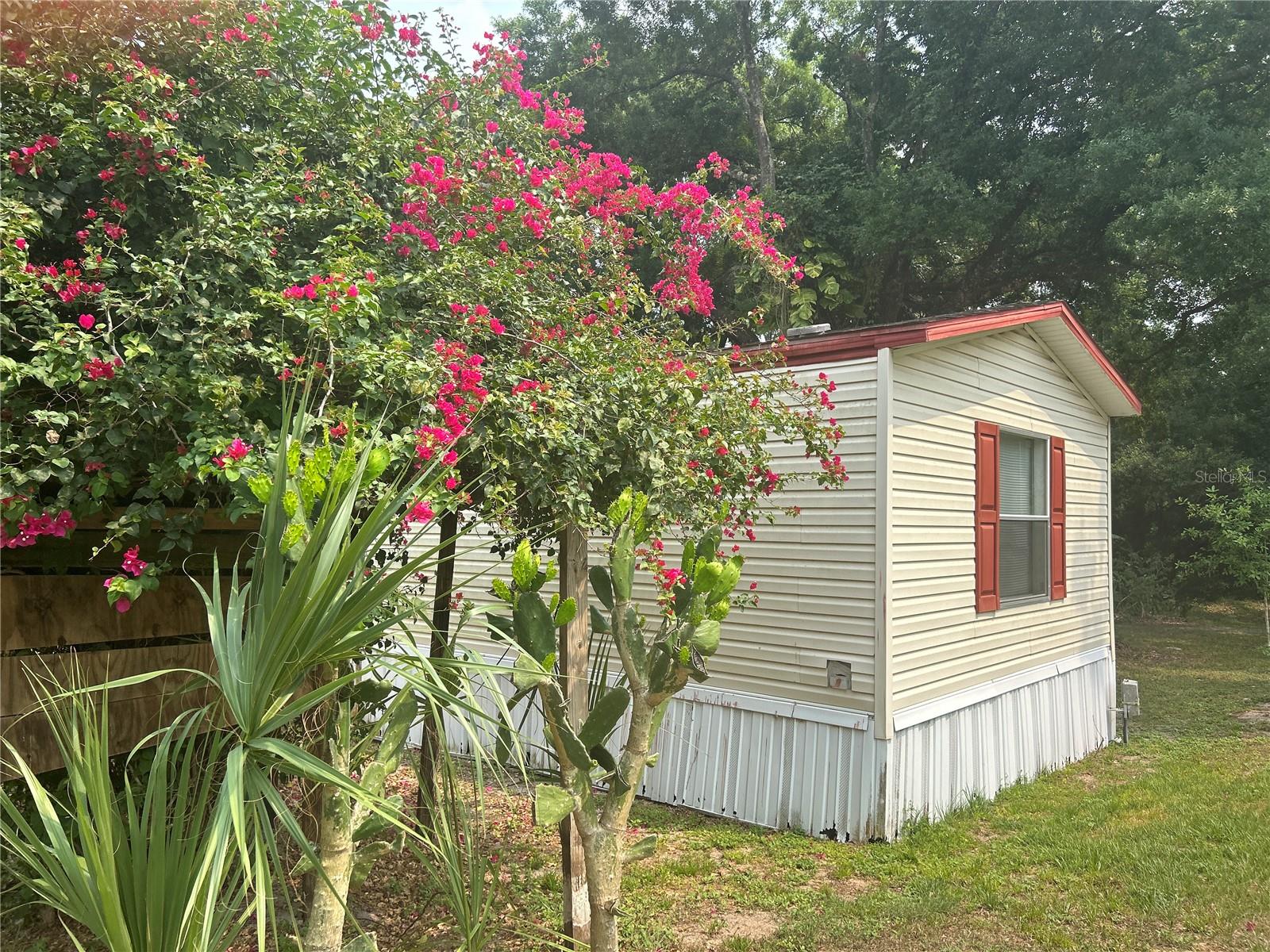 3230 OAK TREE LN