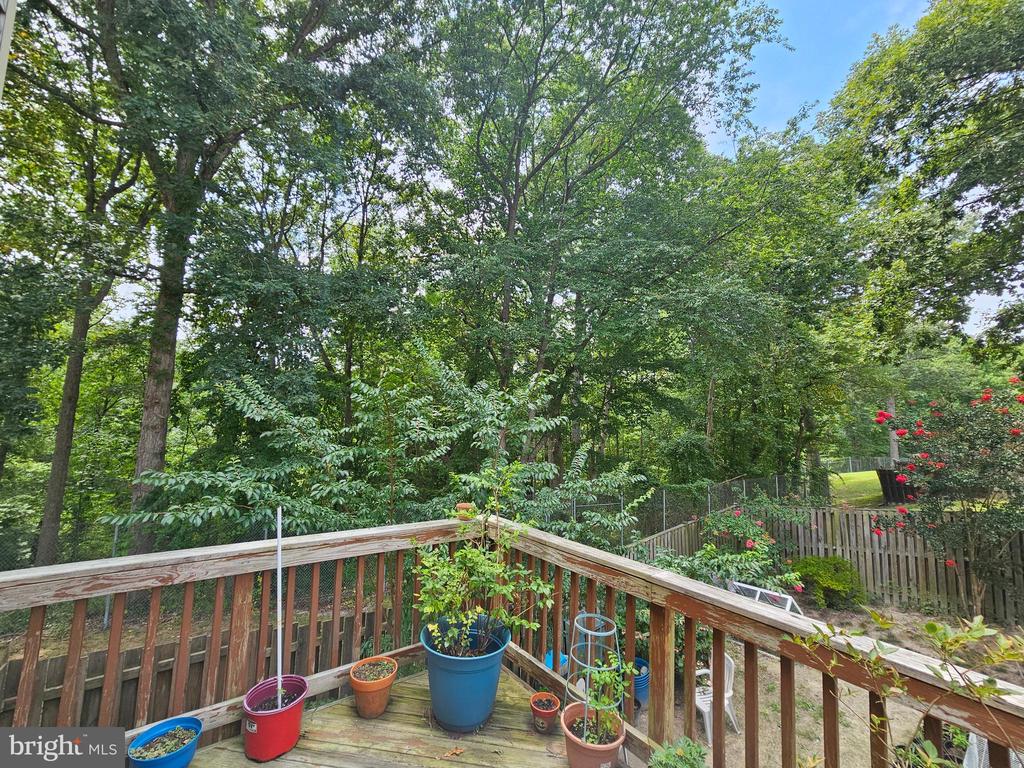 446 Mystic View Turn