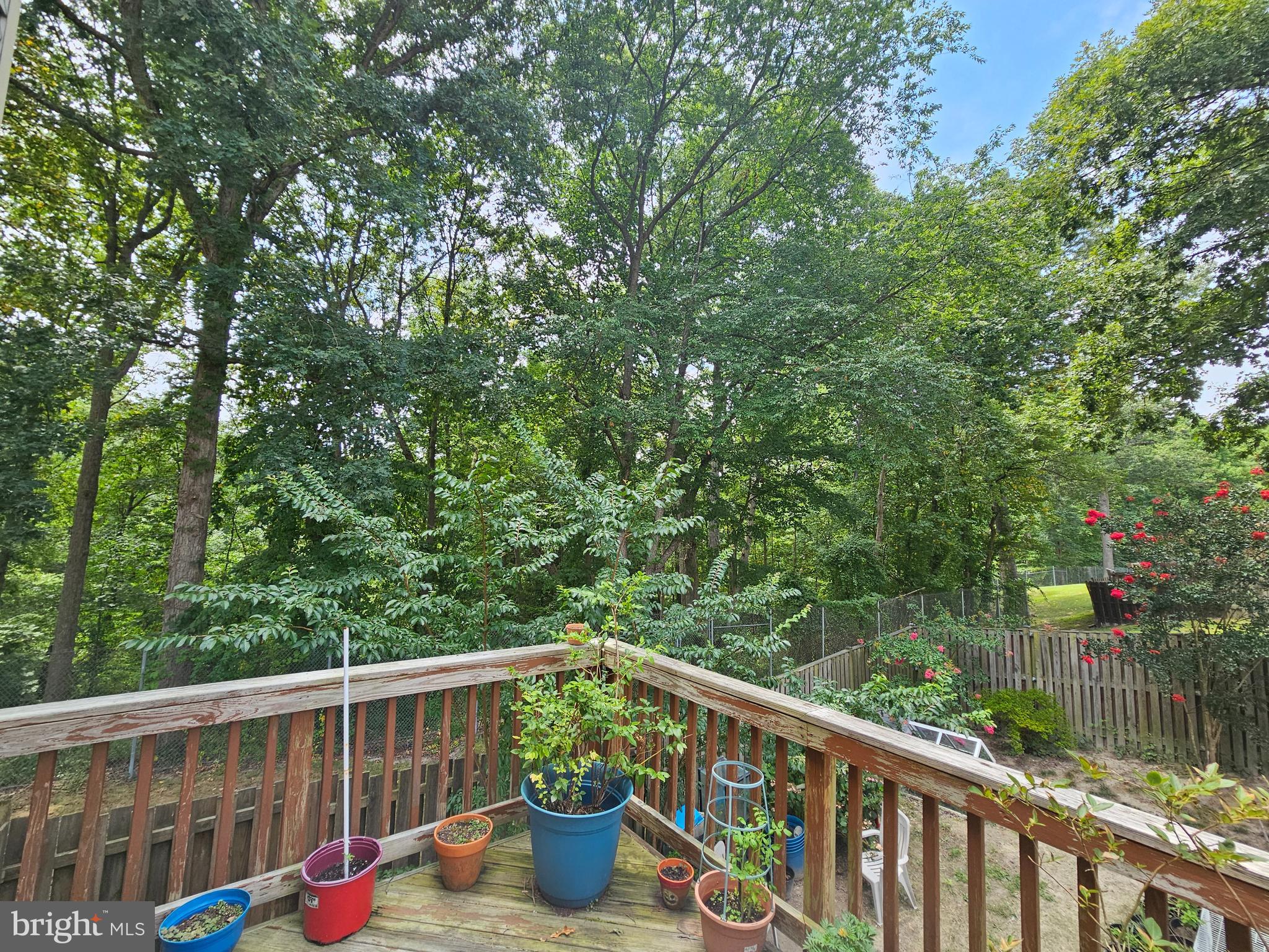 446 Mystic View Turn