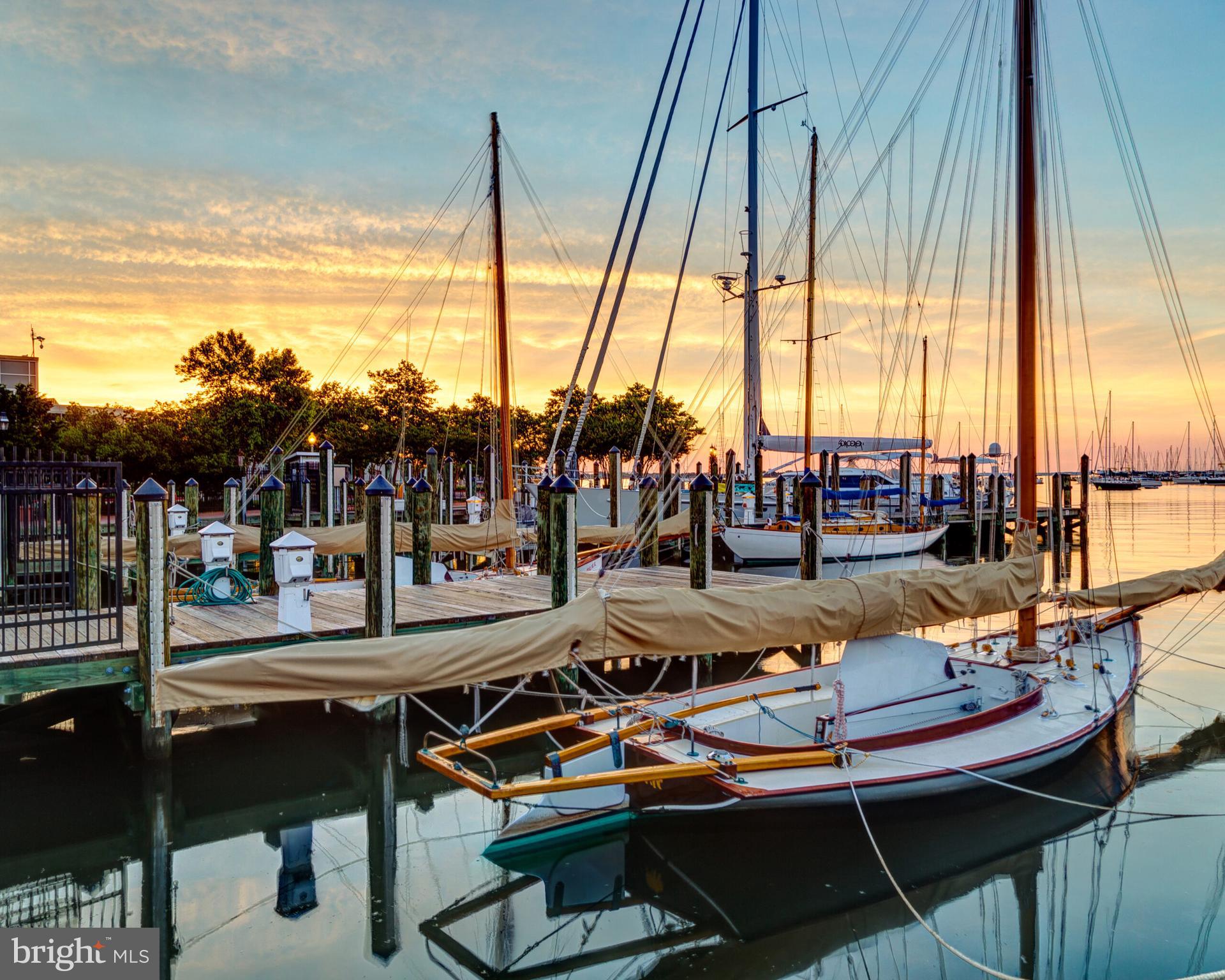 710 BRANNOCK TERRACE