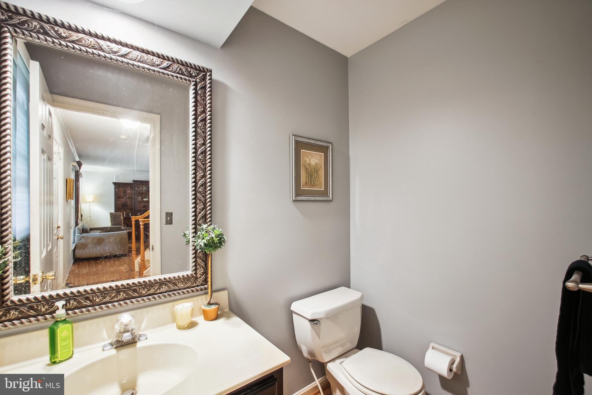 294 LOCUST RIDGE LANE