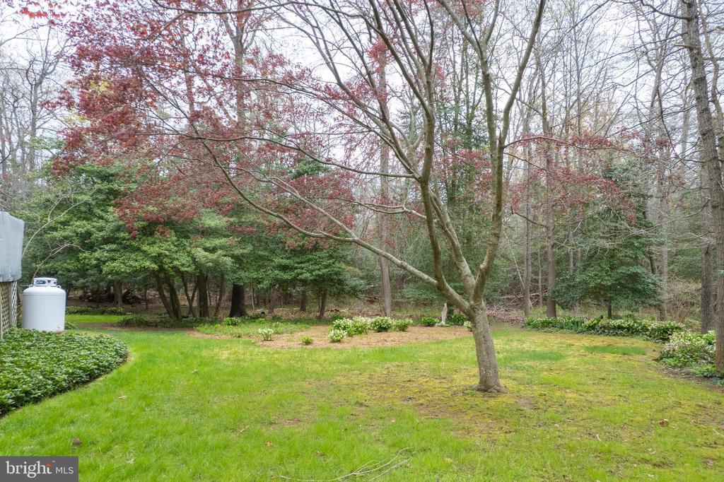 795 HARNESS CREEK VIEW DRIVE