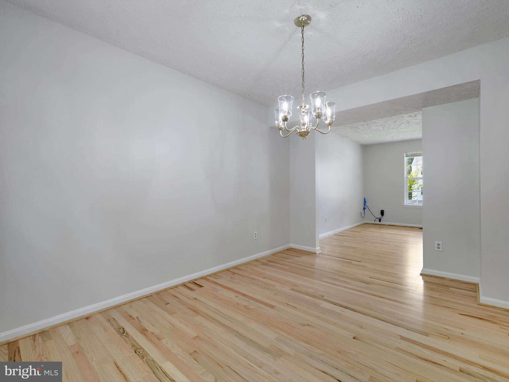 3228 BLACKWALNUT DRIVE