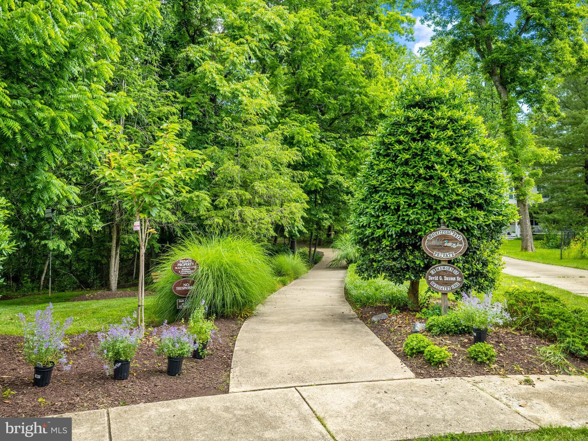 3228 BLACKWALNUT DRIVE