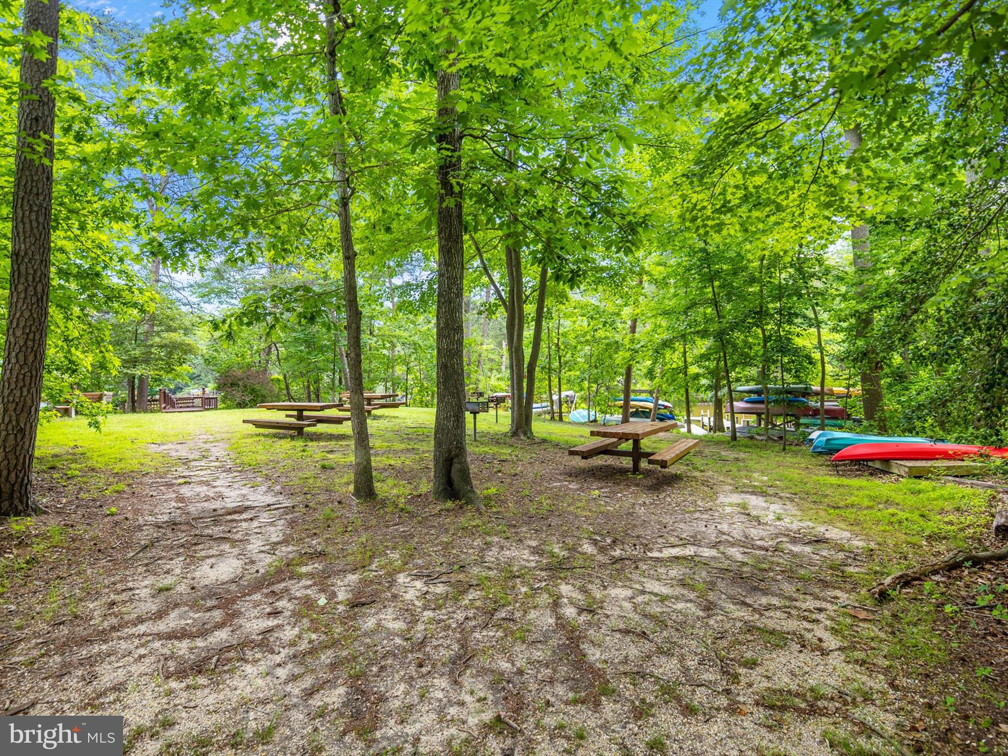 3228 BLACKWALNUT DRIVE