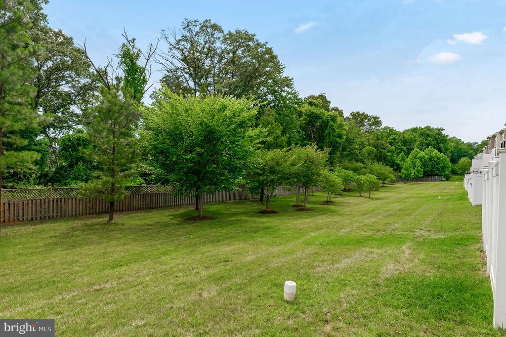 8145 HOLLOW COURT