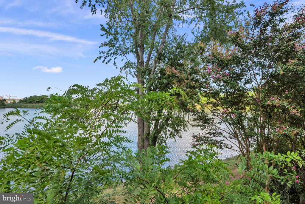 1322 COX COVE COURT