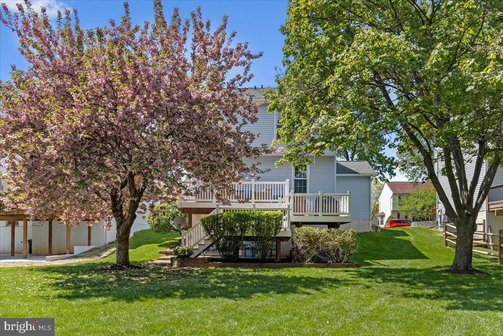 6322 Roan Stallion Ln