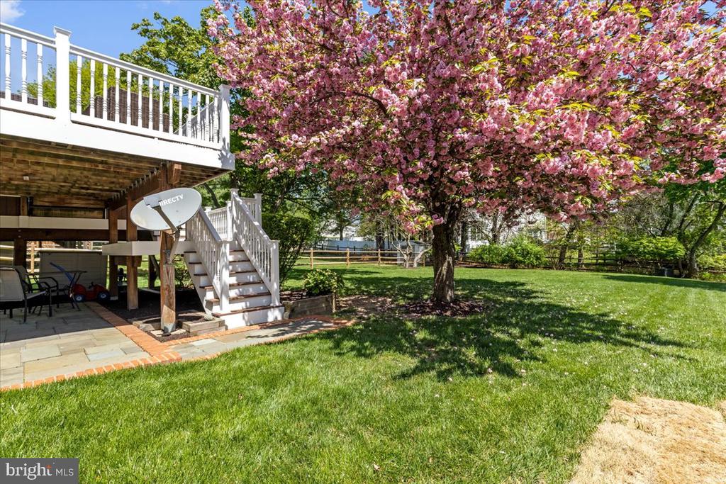 6322 Roan Stallion Ln