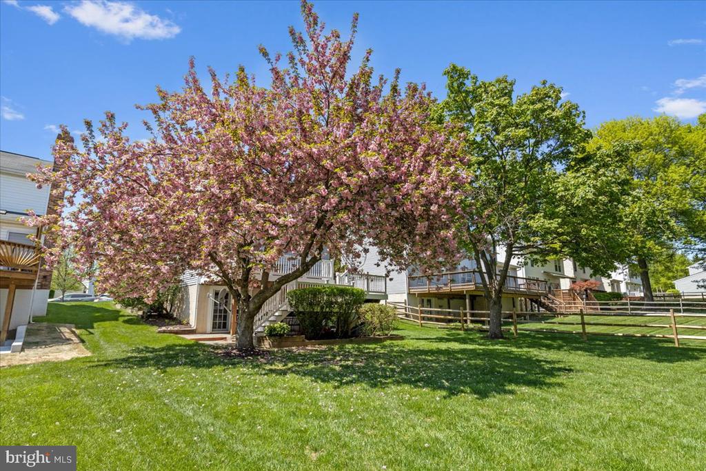 6322 Roan Stallion Ln
