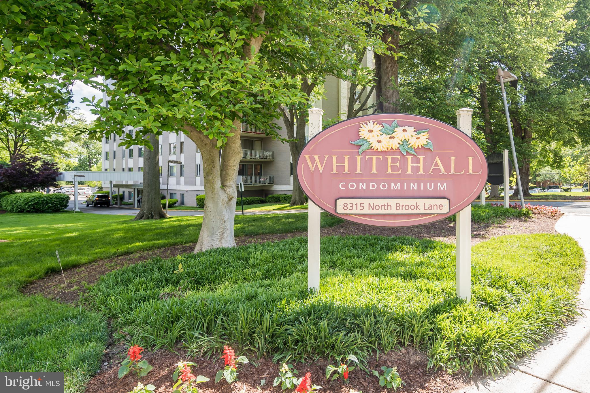 8315 N BROOK LANE 2-905