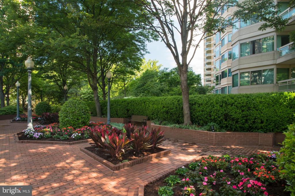 5630 Wisconsin Ave #1504