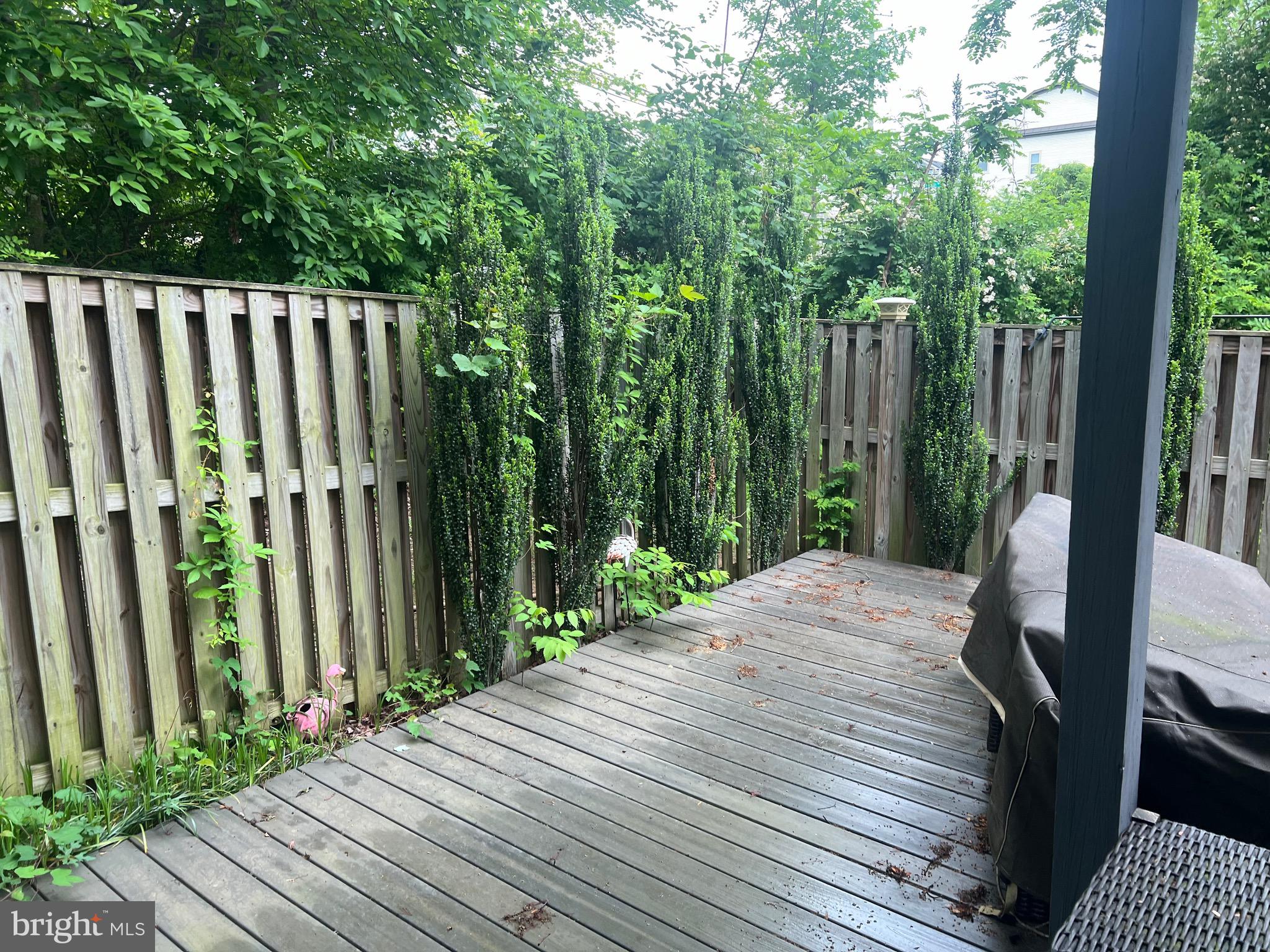 13115 CHERRY BEND TERRACE