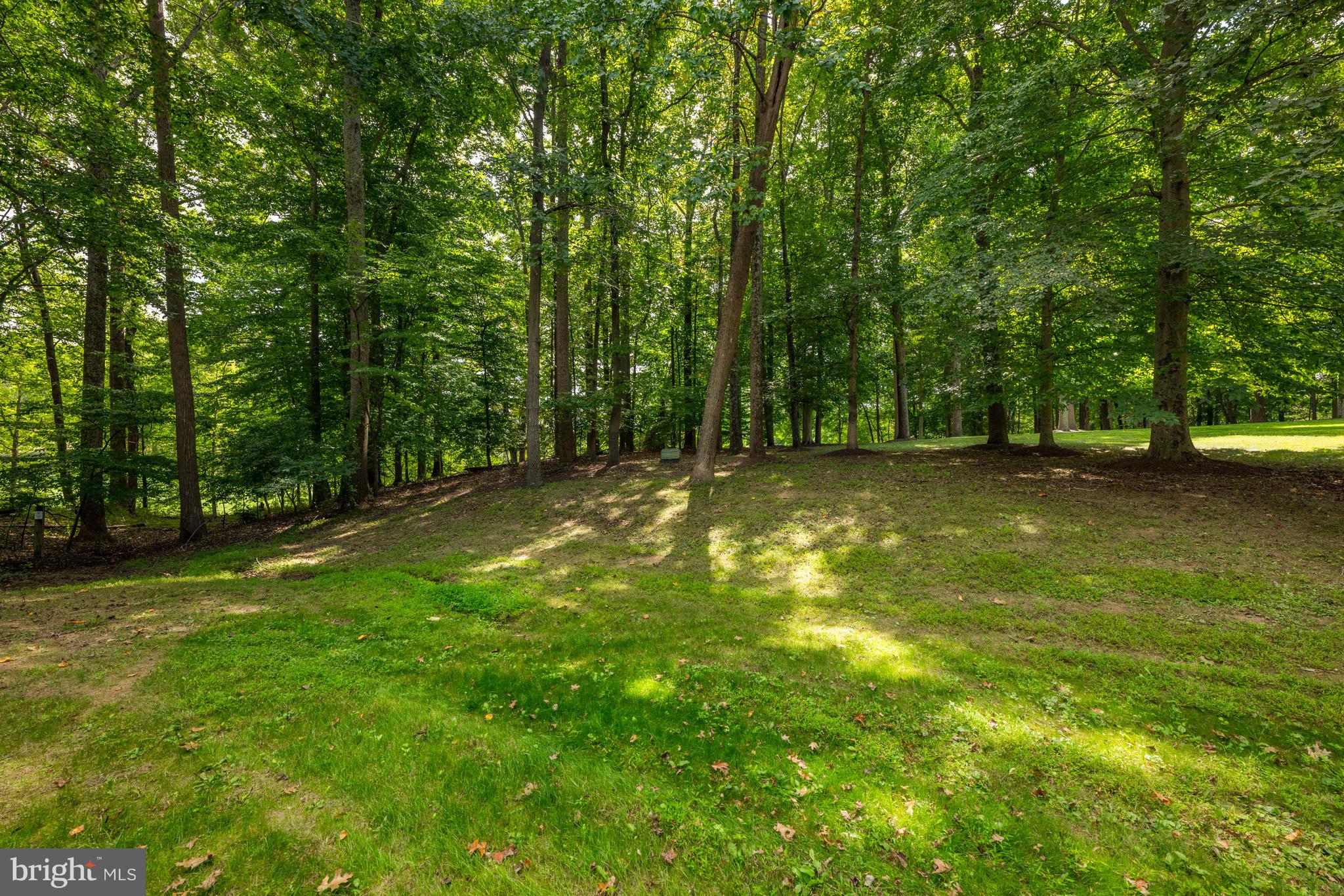 10024 Chartwell Manor Ct