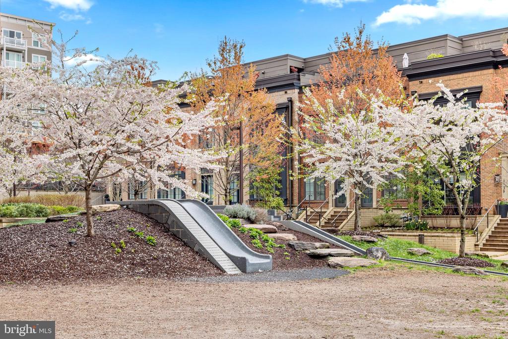 3731 CHEVY CHASE LAKE DRIVE