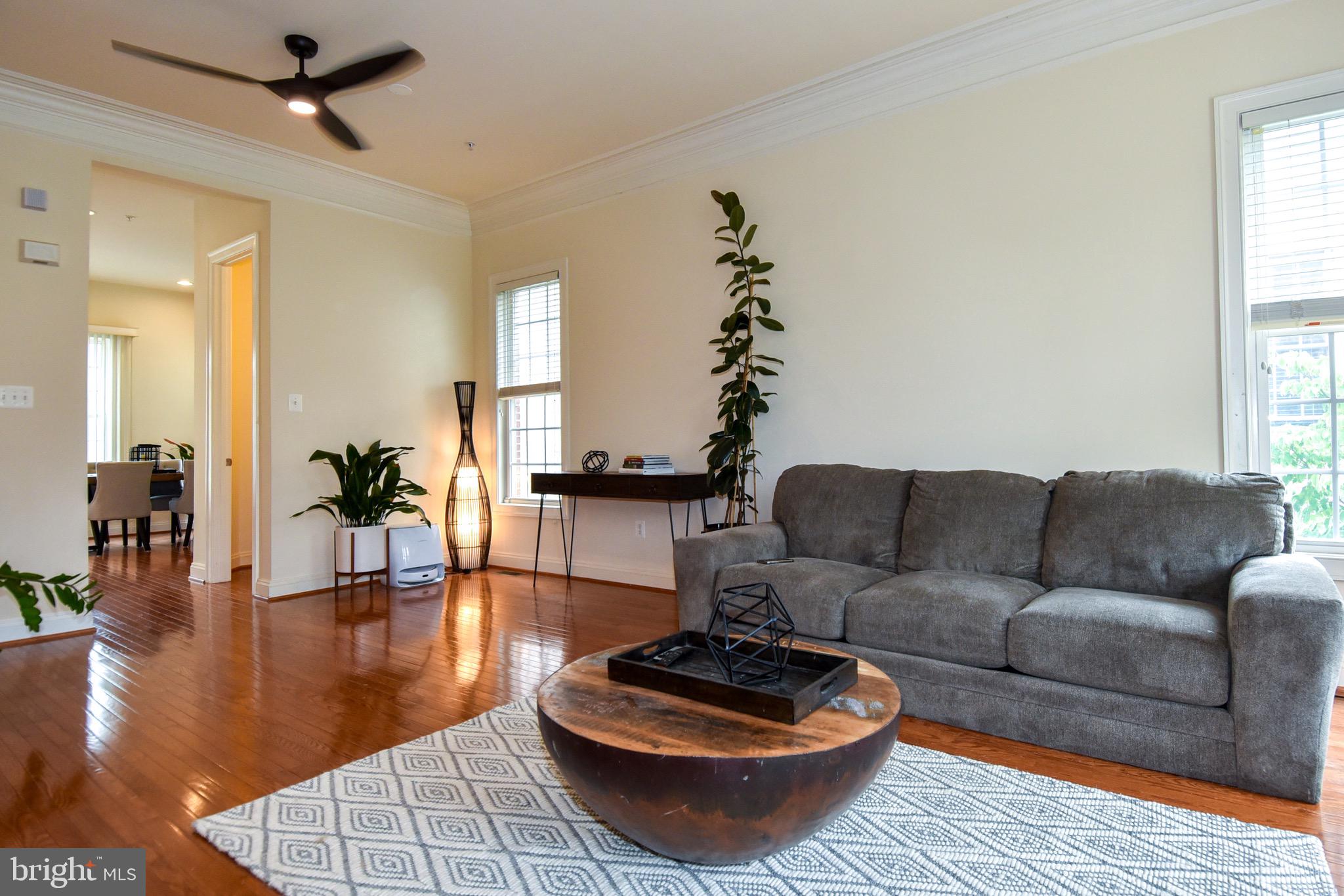 529 CEDAR SPRING STREET