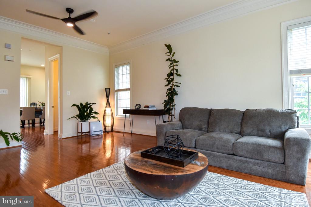 529 CEDAR SPRING STREET