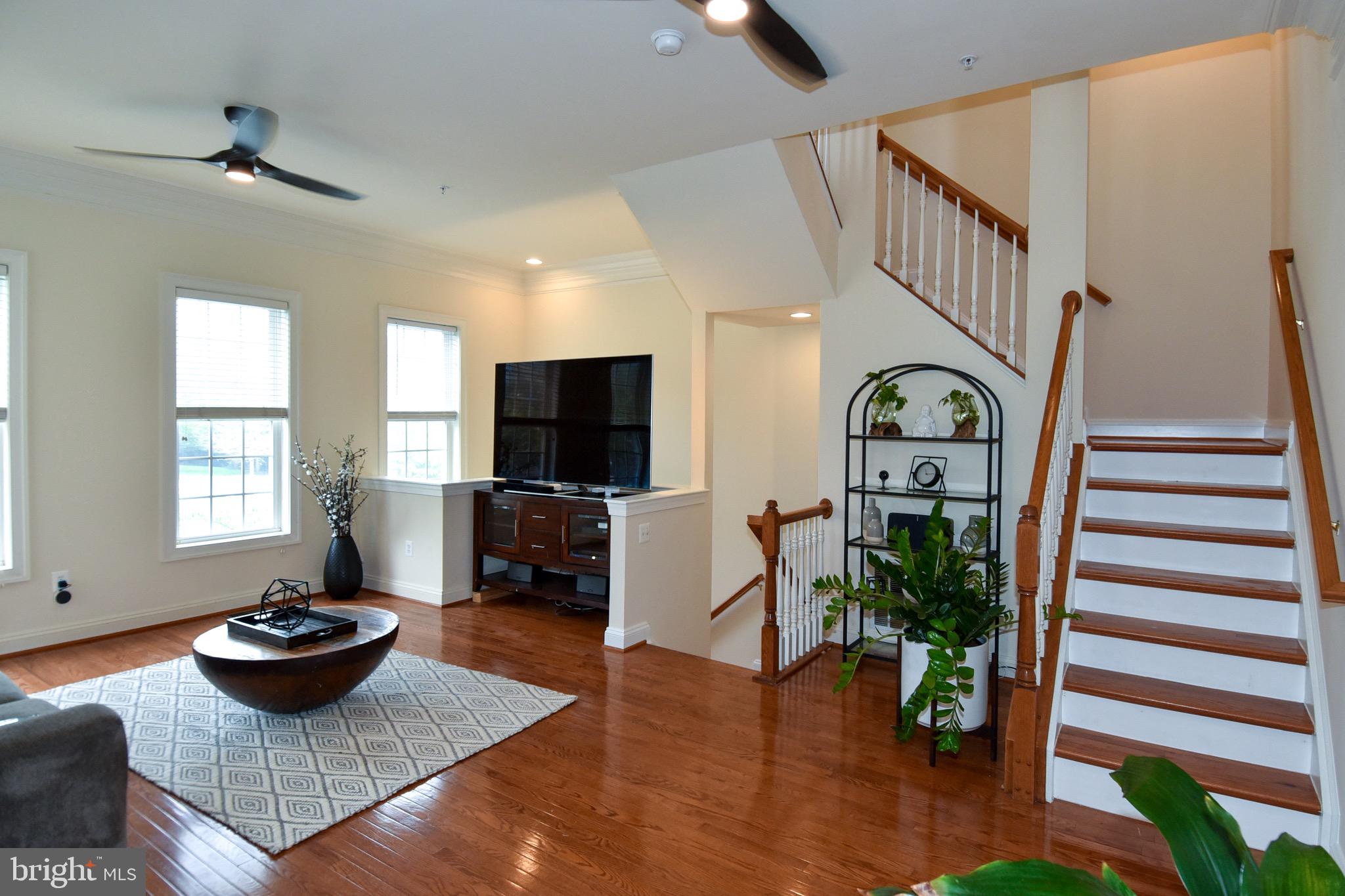 529 CEDAR SPRING STREET