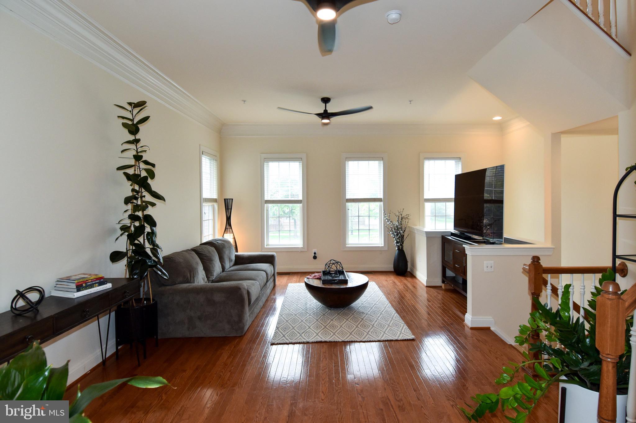 529 CEDAR SPRING STREET