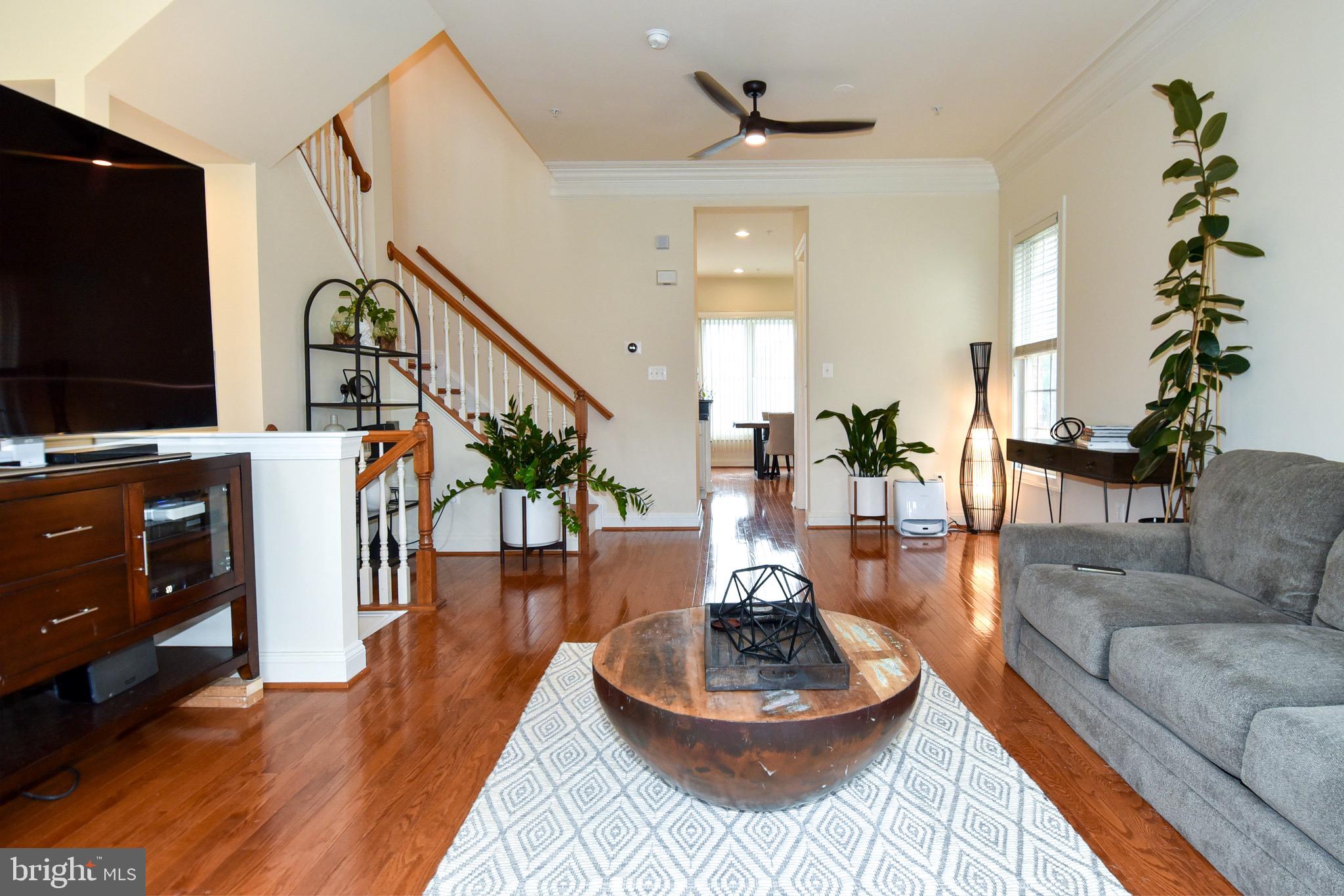 529 CEDAR SPRING STREET