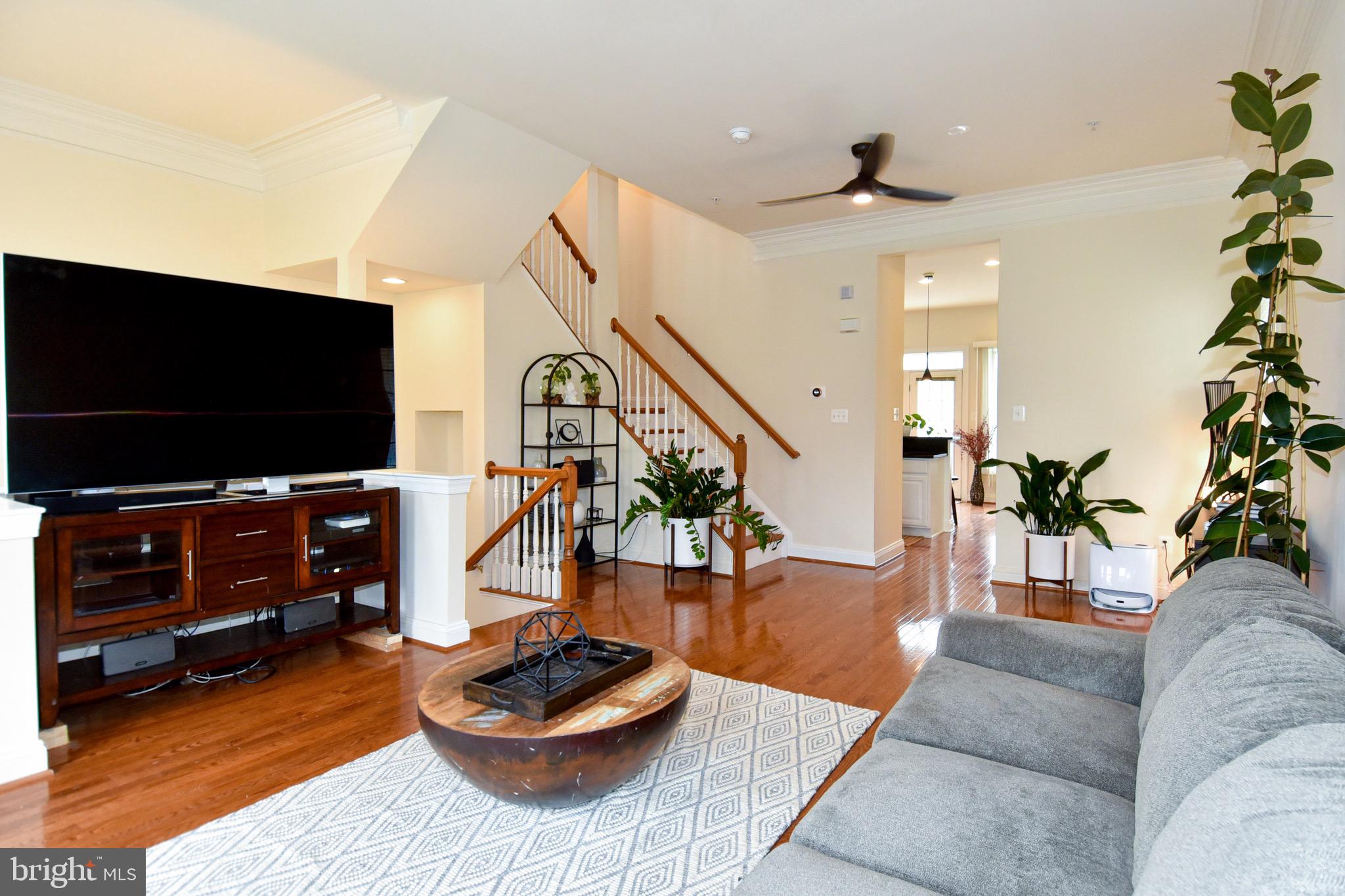 529 CEDAR SPRING STREET