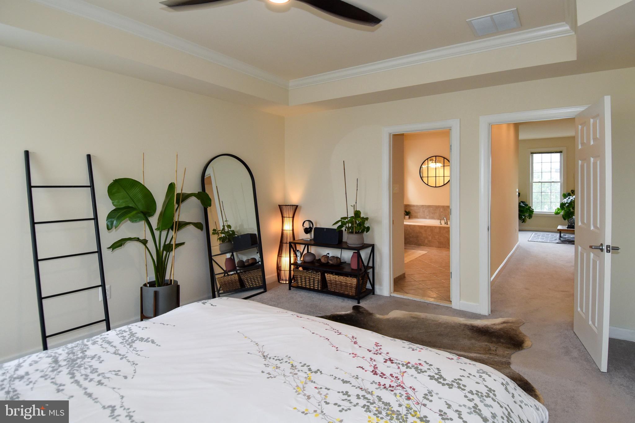 529 CEDAR SPRING STREET