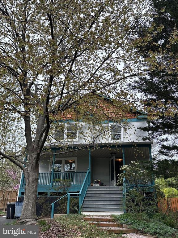 507 ALBANY AVENUE
