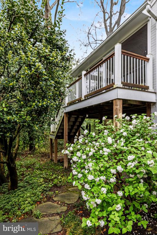 8711 BRIERLY COURT