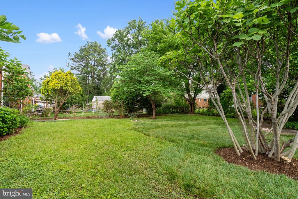 13007 ESTELLE ROAD